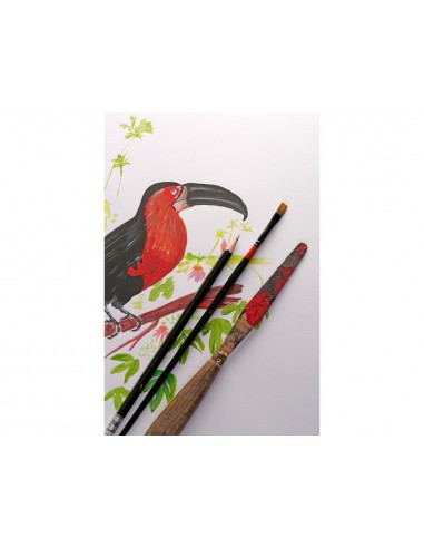 Bloc de dibujo multitecnicas clairefontaine paint on din a5 encolado 40 hojas 250 gr liso
