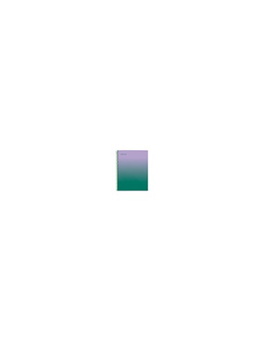 Cuaderno espiral miquelrius din a4 80 hojas cuadro 5 mm 90 gr gradient lavanda/verde