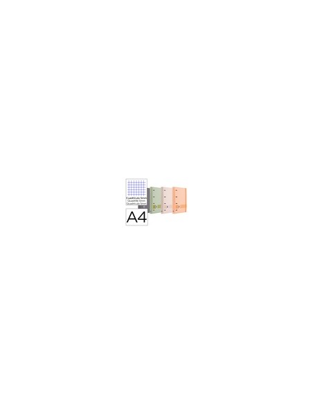 Carpeta 4 anillas oxford europeanbinder tapa extradura din a4 + recambio 120h cuadro 5 mm boreal + indices Carpeta 4 anillas oxford europeanbinder tapa extradura din a4 + recambio 120h cuadro 5 mm boreal + indices
