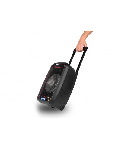 Altavoz ngs bluetooth wild samba portatil 30w con microfono con cable bateria y luces led micro usb usb aux