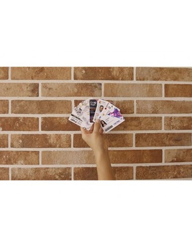 Impresora de tarjeta badgy 100 incluye cinta 50 tarjetas y programa edicion badge studio