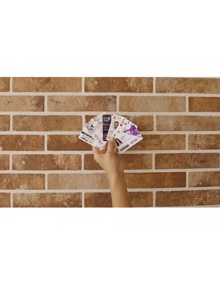 Impresora de tarjeta badgy 100 incluye cinta 50 tarjetas y programa edicion badge studio Impresora de tarjeta badgy 100 incluye cinta 50 tarjetas y programa edicion badge studio