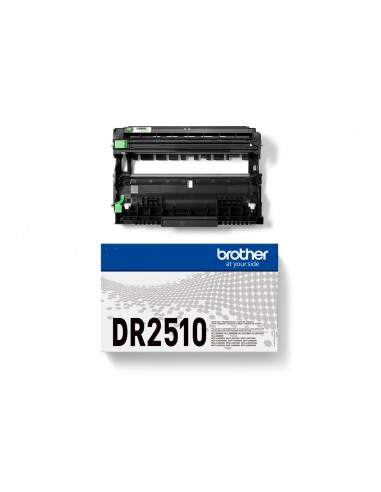 Tambor brother dr2510 hl-l2400dwe/l2445dw negro 15000 paginas