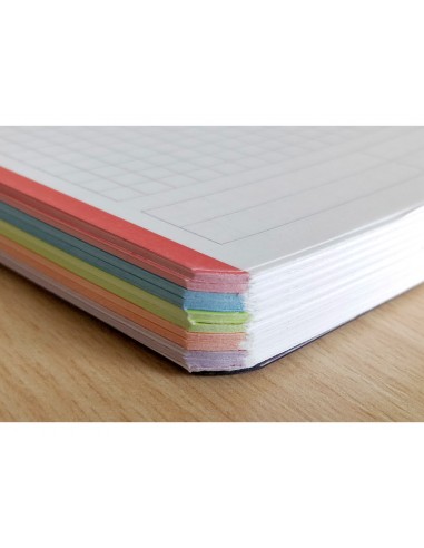 Cuaderno espiral clairefontain e din a4+ 120 hojas 90 gr tapa plastico microperforado cuadro 5 mm colores surtidos