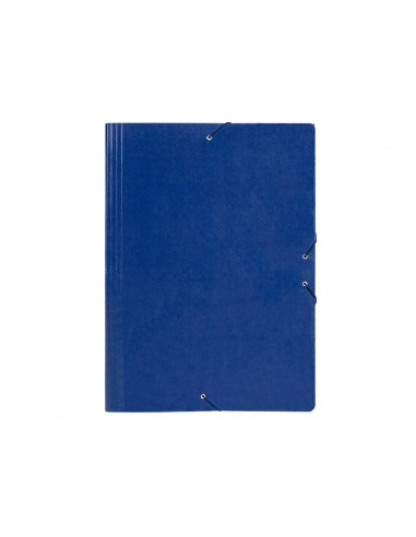 Carpeta planos liderpapel a2 carton gofrado n 12 azul