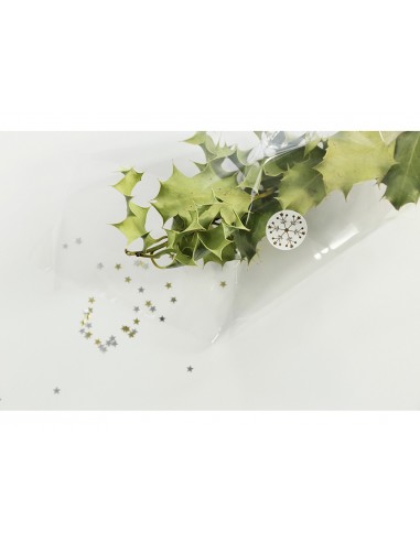 Papel de regalo film transparente rollo 3x0,70