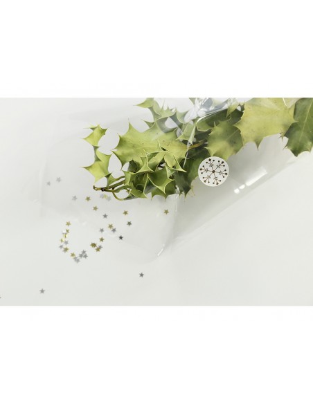 Papel de regalo film transparente rollo 3x0,70