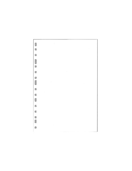Recambio multifin 3002 cuarto natural liso blanco 50 hojas 11 taladros 155x215 mm