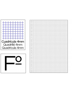 Recambio multifin 3005 folio natural cuadro 4 mm 50 hojas 16 taladros 215x310 mm