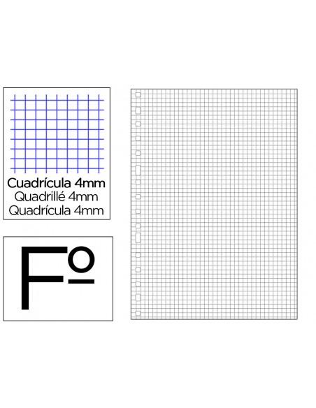 Recambio multifin 3005 folio natural cuadro 4 mm 50 hojas 16 taladros 215x310 mm