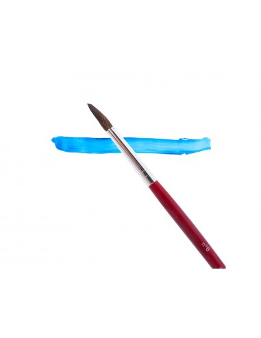 Pinceles acuarela liderpapel nº 6 virola cromada pelo engomado