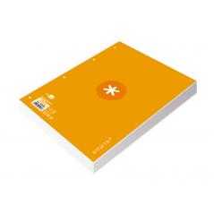 Recambio liderpapel a4 antartik 80 hojas 90g/m2 cuadro 5 mm 4 taladros 1 banda marco color mostaza