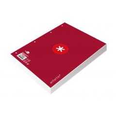 Recambio liderpapel a4 antartik 80 hojas 90g/m2 cuadro 5 mm 4 taladros 1 banda marco color frambuesa