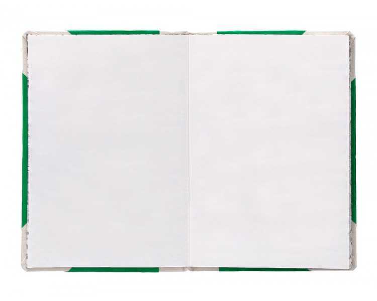 Libro cartone cosido fernandes flecha din a5+ liso 50 hojas 100 gr verde