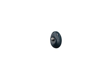 Raton kensington optico trackball pro fit ergo tb550 inalambrico 1600 dpi mini usb 2,4 ghz color negro