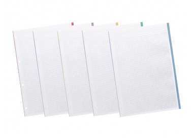 Recambio liderpapel a4 200+50 hojas 90g/m2 cuadro 5 mm 4 taladros bandas de 5 colores Recambio liderpapel a4 200+50 hojas 90g/m2 cuadro 5 mm 4 taladros bandas de 5 colores