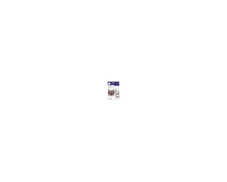 Set pintura gouache daler rowney simply activity