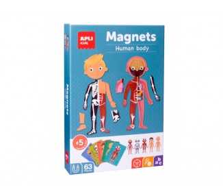 Juego apli didactico magnetico el cuerpo humano