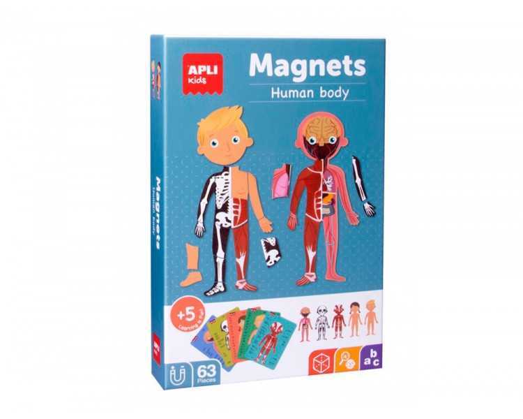 Juego apli didactico magnetico el cuerpo humano