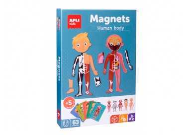 Juego apli didactico magnetico el cuerpo humano