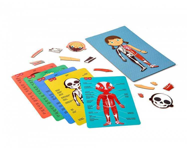Juego apli didactico magnetico el cuerpo humano