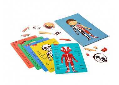 Juego apli didactico magnetico el cuerpo humano