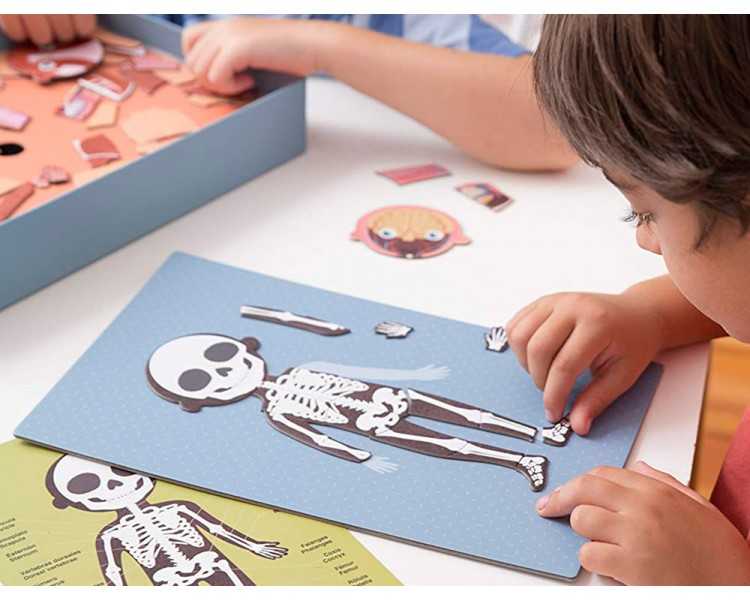 Juego apli didactico magnetico el cuerpo humano