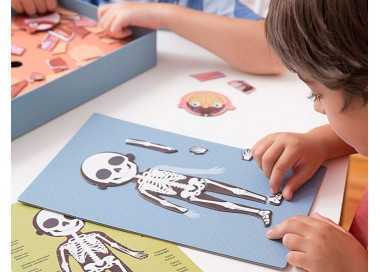 Juego apli didactico magnetico el cuerpo humano