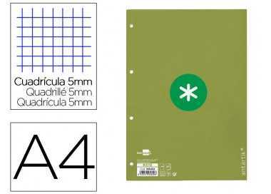 Recambio a4 antartik 80 hojas 90g/m2 cuadro 5mm 4 taladros 1 banda con marco color verde