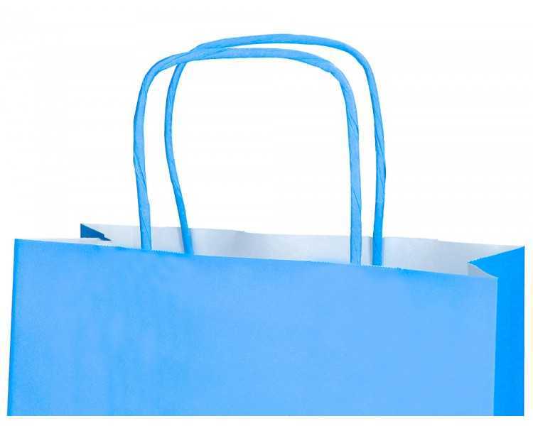 Bolsa papel q-connect celulosa celeste s con asa retorcida 240x320x10 mm