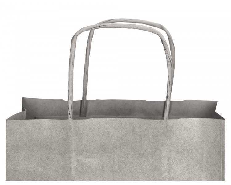 Bolsa papel q-connect kraft plata xs con asa retorcida 180x240x80 mm