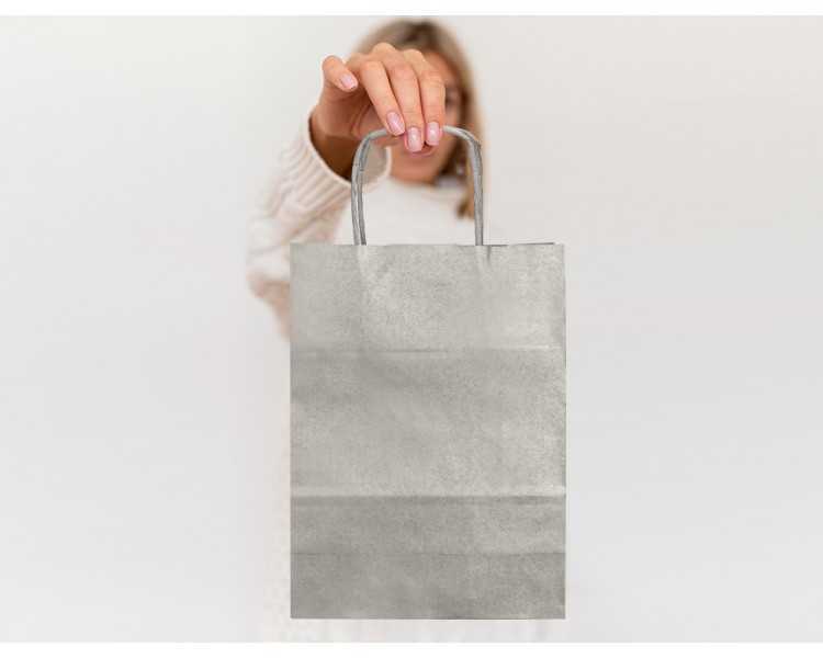 Bolsa papel q-connect kraft plata xs con asa retorcida 180x240x80 mm
