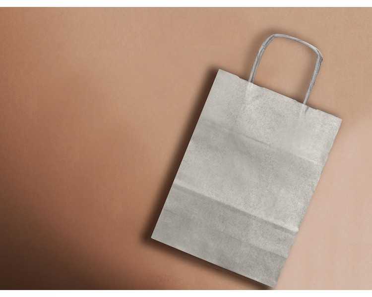 Bolsa papel q-connect kraft plata xs con asa retorcida 180x240x80 mm