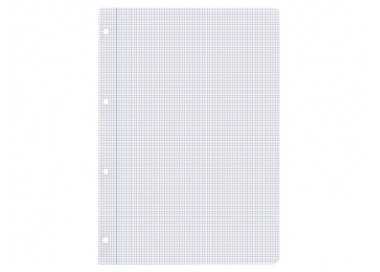 Recambio liderpapel a4 100 hojas 100g/m2 cuadro 3mm con margen 4 taladros Recambio liderpapel a4 100 hojas 100g/m2 cuadro 3mm con margen 4 taladros