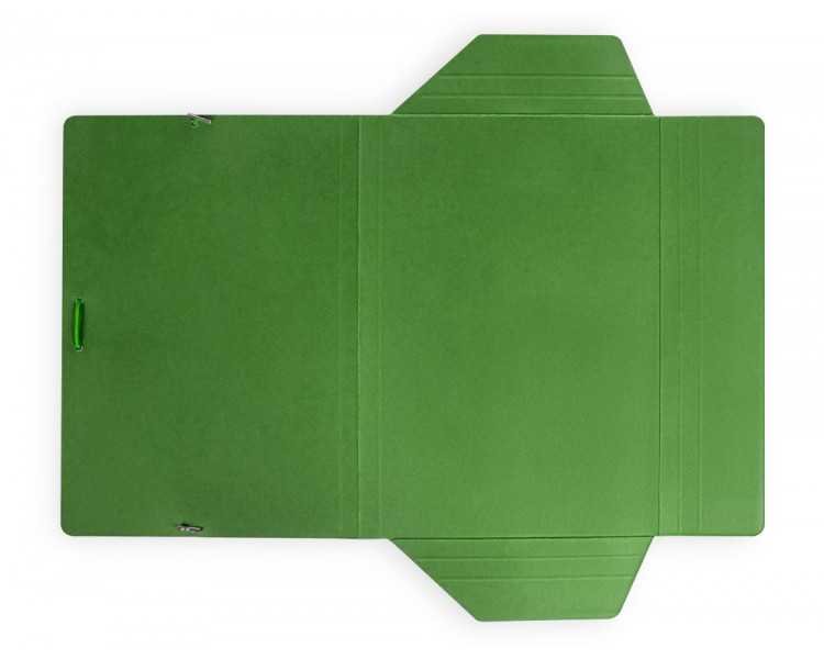 Carpeta liderpapel gomas folio 3 solapas carton plastificado color verde