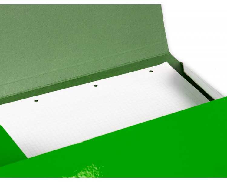 Carpeta liderpapel gomas folio 3 solapas carton plastificado color verde