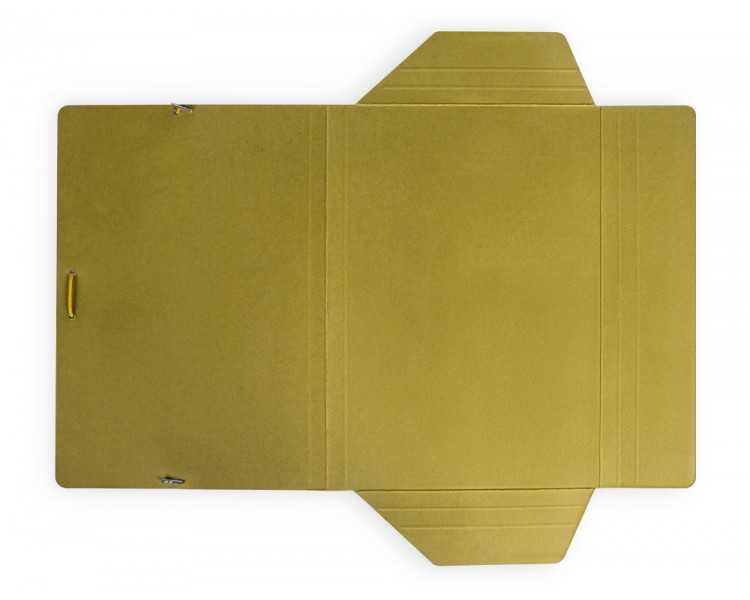 Carpeta liderpapel gomas folio 3 solapas carton plastificado color amarillo