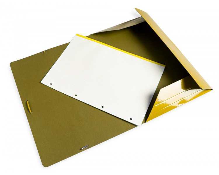 Carpeta liderpapel gomas folio 3 solapas carton plastificado color amarillo