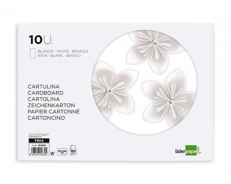 Bloc trabajos manuales liderpapel cartulina 240x315mm 10 hojas color blanco