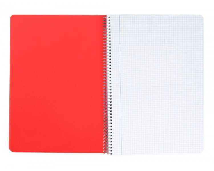 Cuaderno espiral liderpapel a5 wonder tapa plastico 80h 90gr cuadro 5mm con margen colores surtidos