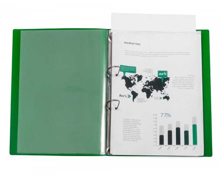 Carpeta liderpapel canguro 2 anillas 25 mm mixtas polipropileno din a4 verde translucido