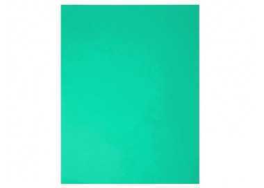 Cartulina guarro verde menta 50x65 cm 185 gr