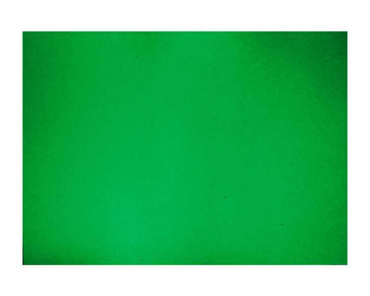 Cartulina guarro verde abeto 50x65 cm 180 gr