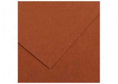 Cartulina guarro marron chocolate 50x65 cm 185 gr Cartulina guarro marron chocolate 50x65 cm 185 gr