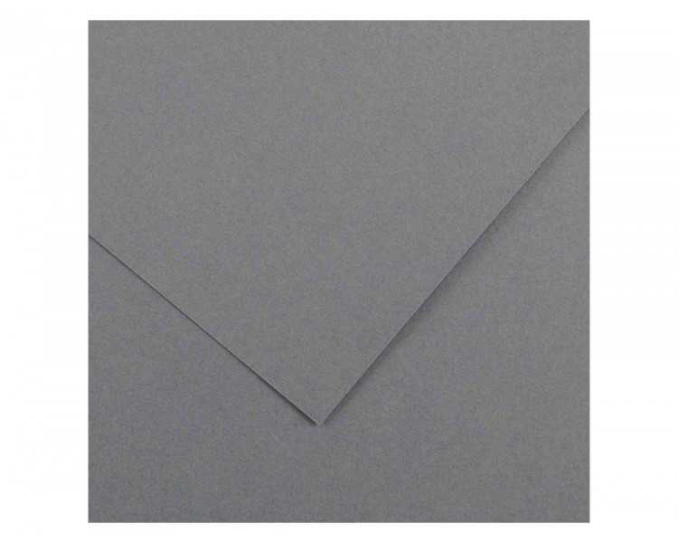 Cartulina guarro gris plomo 50x65 cm 185 gr