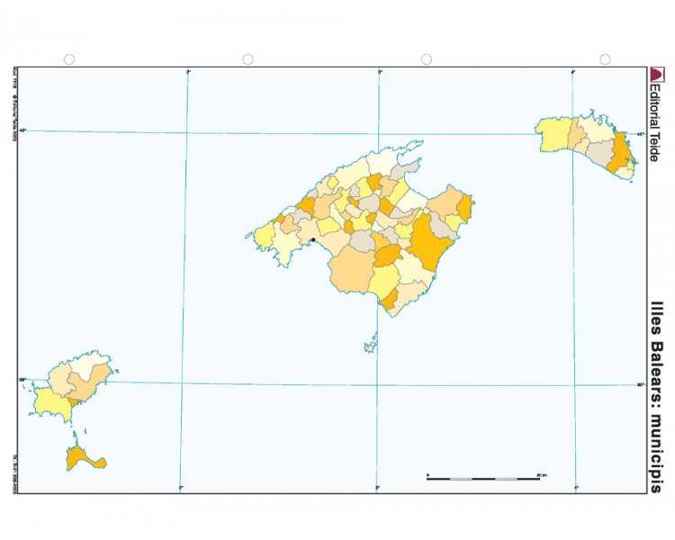 Mapa mudo color din a4 islas baleares politico