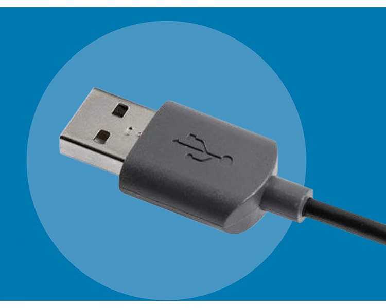 Raton kensington optico 800 dpi negro