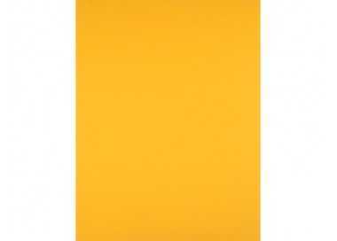 Cartulina liderpapel 50x65 cm 240g/m2 oro viejo paquete de 25 hojas Cartulina liderpapel 50x65 cm 240g/m2 oro viejo paquete de 25 hojas