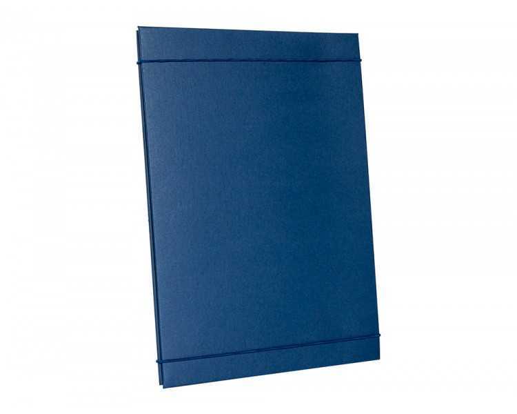 Carpeta proyectos liderpapel extensible gofrada folio
