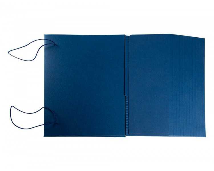 Carpeta proyectos liderpapel extensible gofrada folio